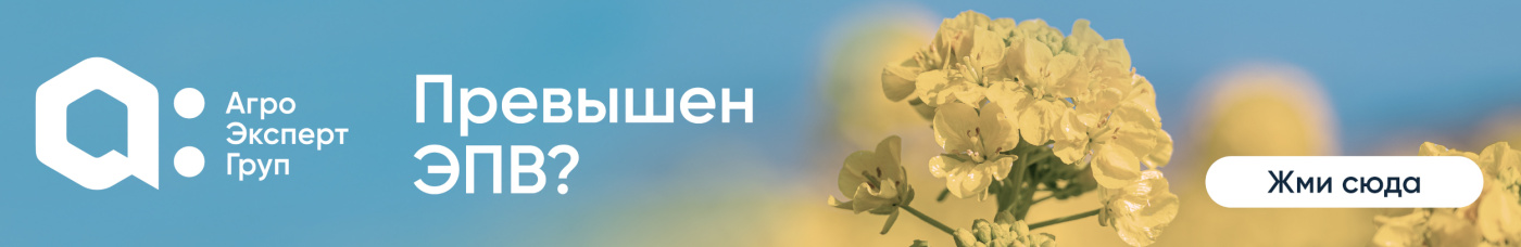 Баннер на главной