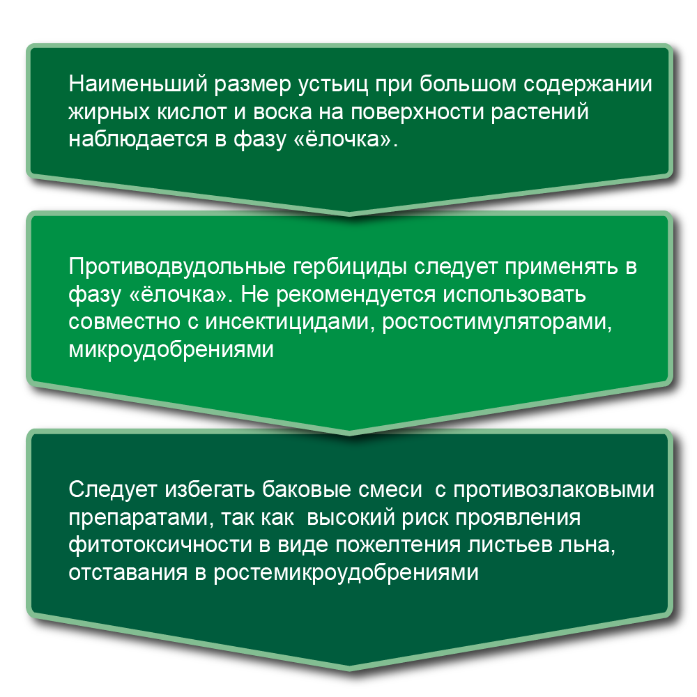 Статья лен форматирование_2_html_ff068dd9.png Статья лен форматирование_2_html_ff068dd9.png