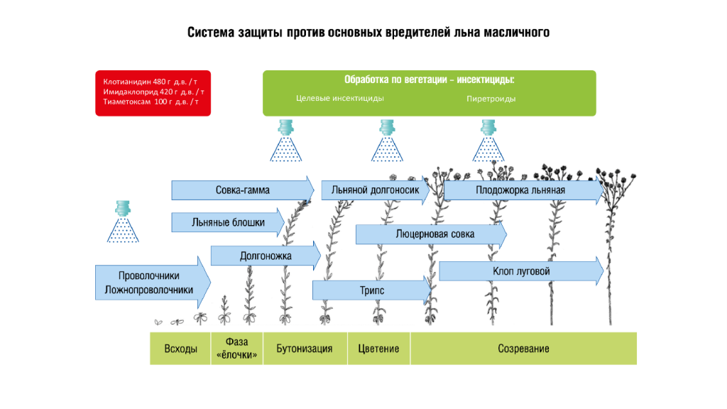 Статья лен форматирование_2_html_1975dfcf.png Статья лен форматирование_2_html_1975dfcf.png