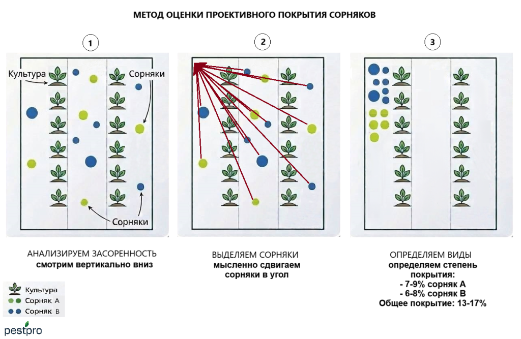 алгоритм.png алгоритм.png